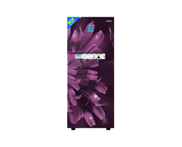 Aster Purple